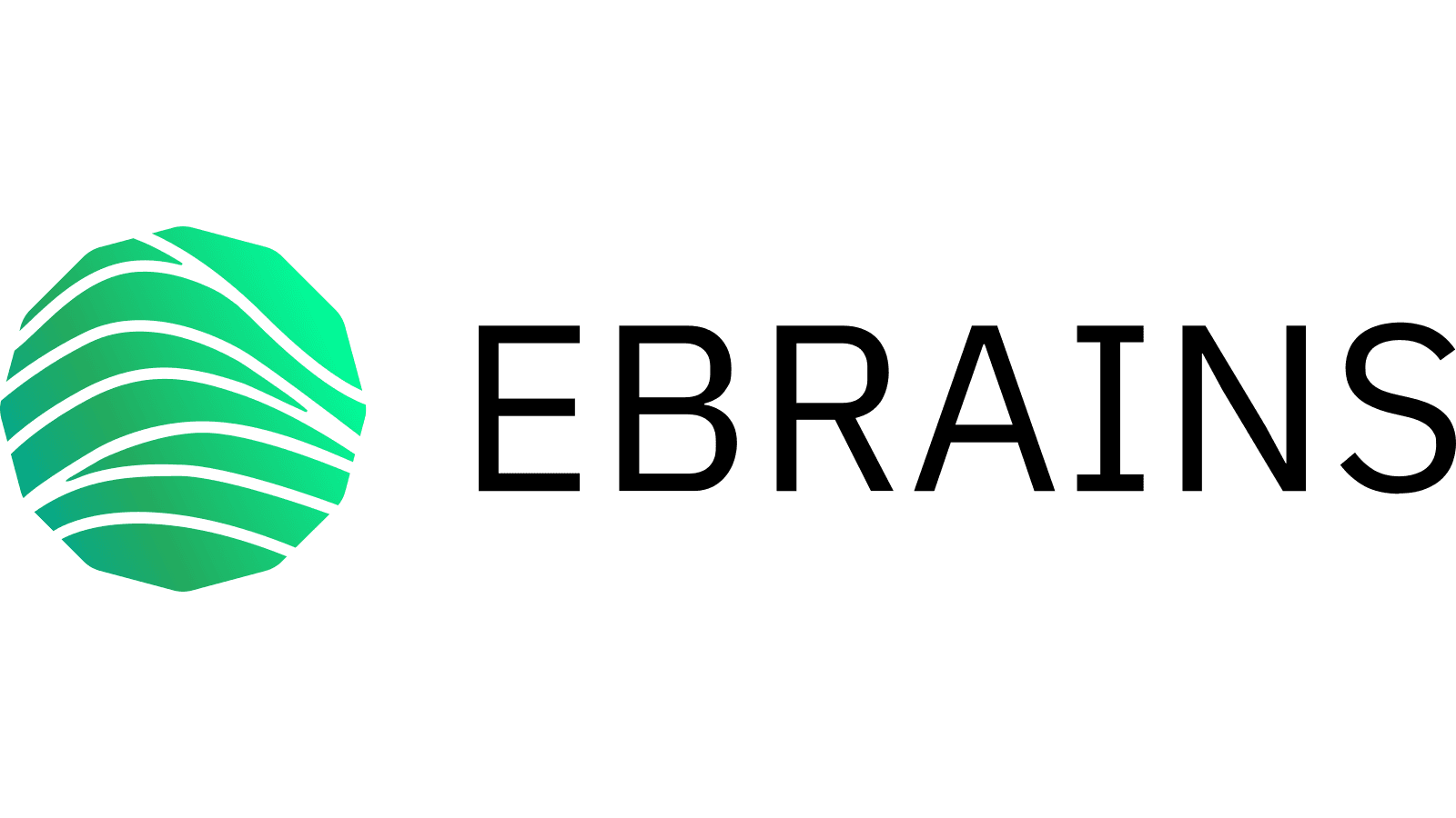 Institute of Computer Science of the Czech Academy of Sciences joins EBRAINS as an Associate Member